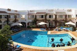 Camel Hotel - Red Sea. Swimming pool.